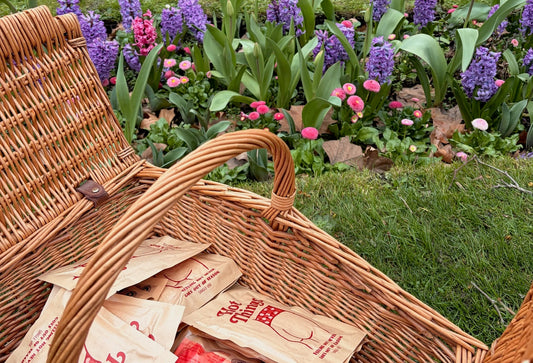 Traditional Chinese Medicine for Circulation: Herbs and Teas Every Woman Should Know